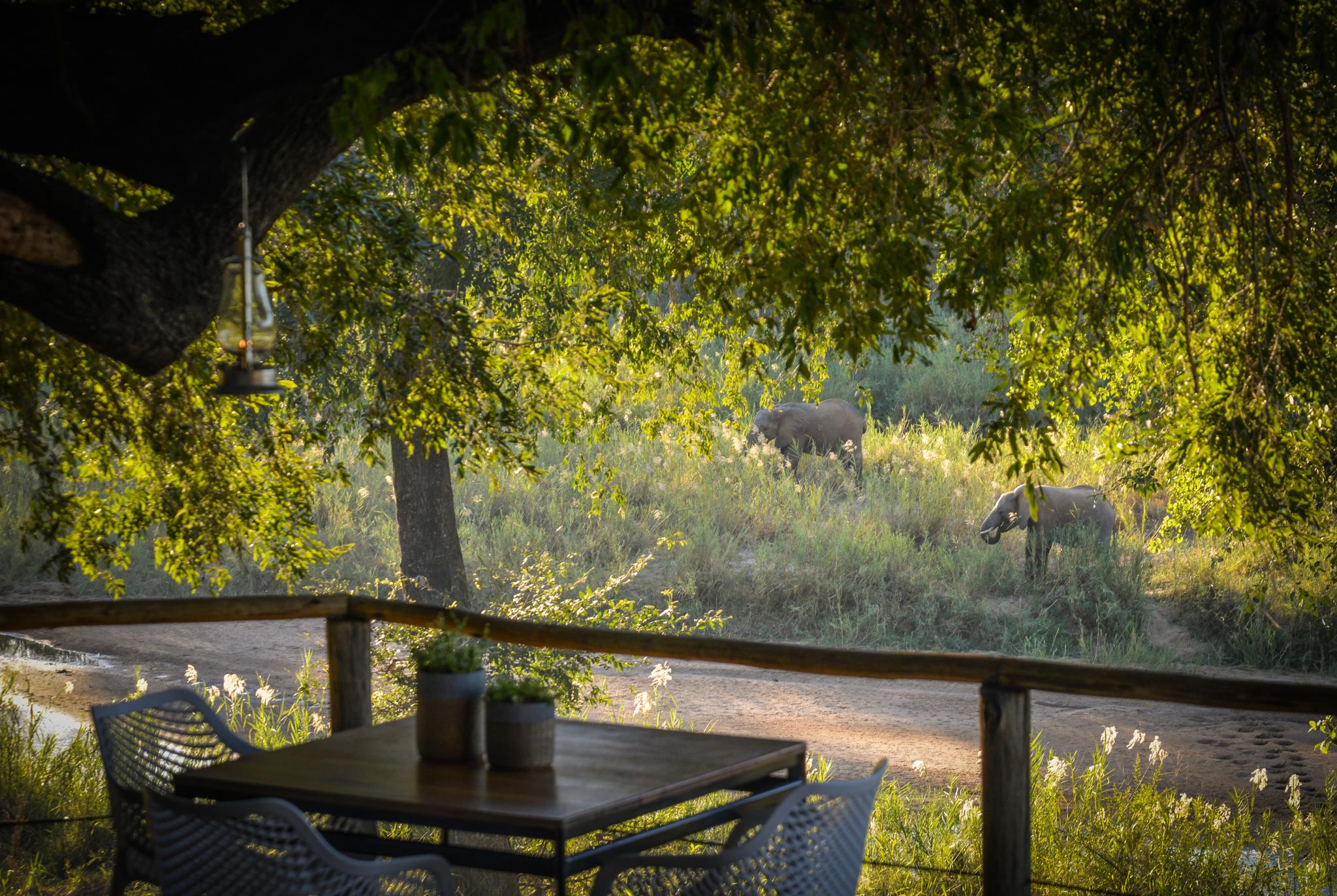 שמורת הציד סאבי סנד Lion Sands Narina Lodge מראה חיצוני תמונה