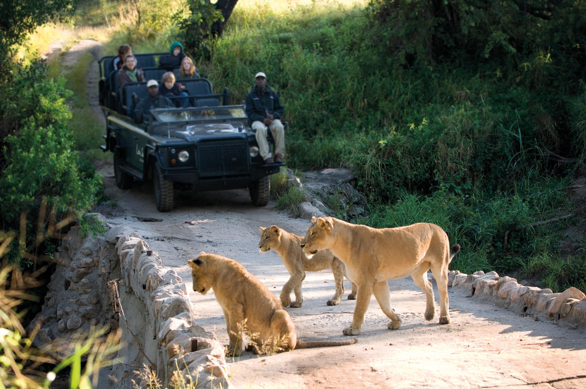 שמורת הציד סאבי סנד Lion Sands Narina Lodge מראה חיצוני תמונה
